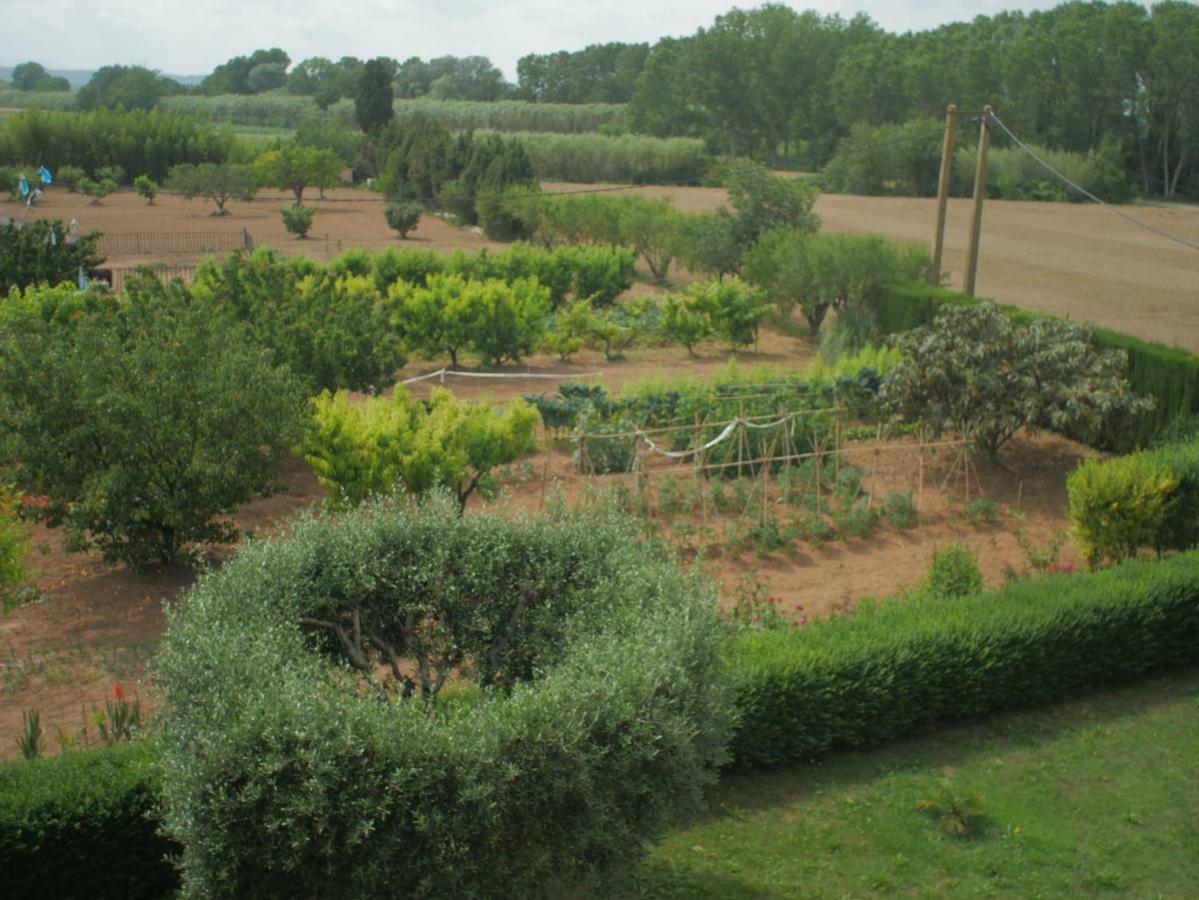 LlaviáMas Puig Roig公寓 外观 照片