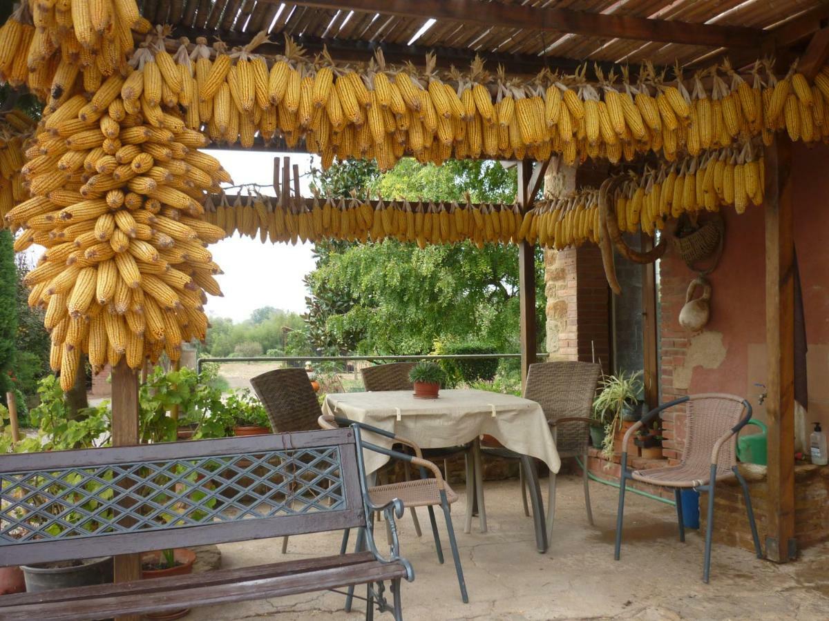 LlaviáMas Puig Roig公寓 外观 照片